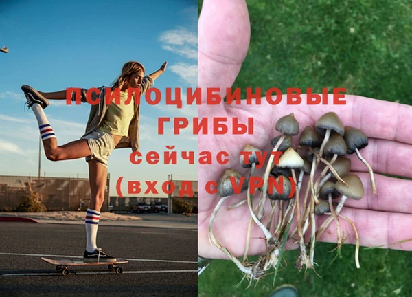 прущая мука Баксан